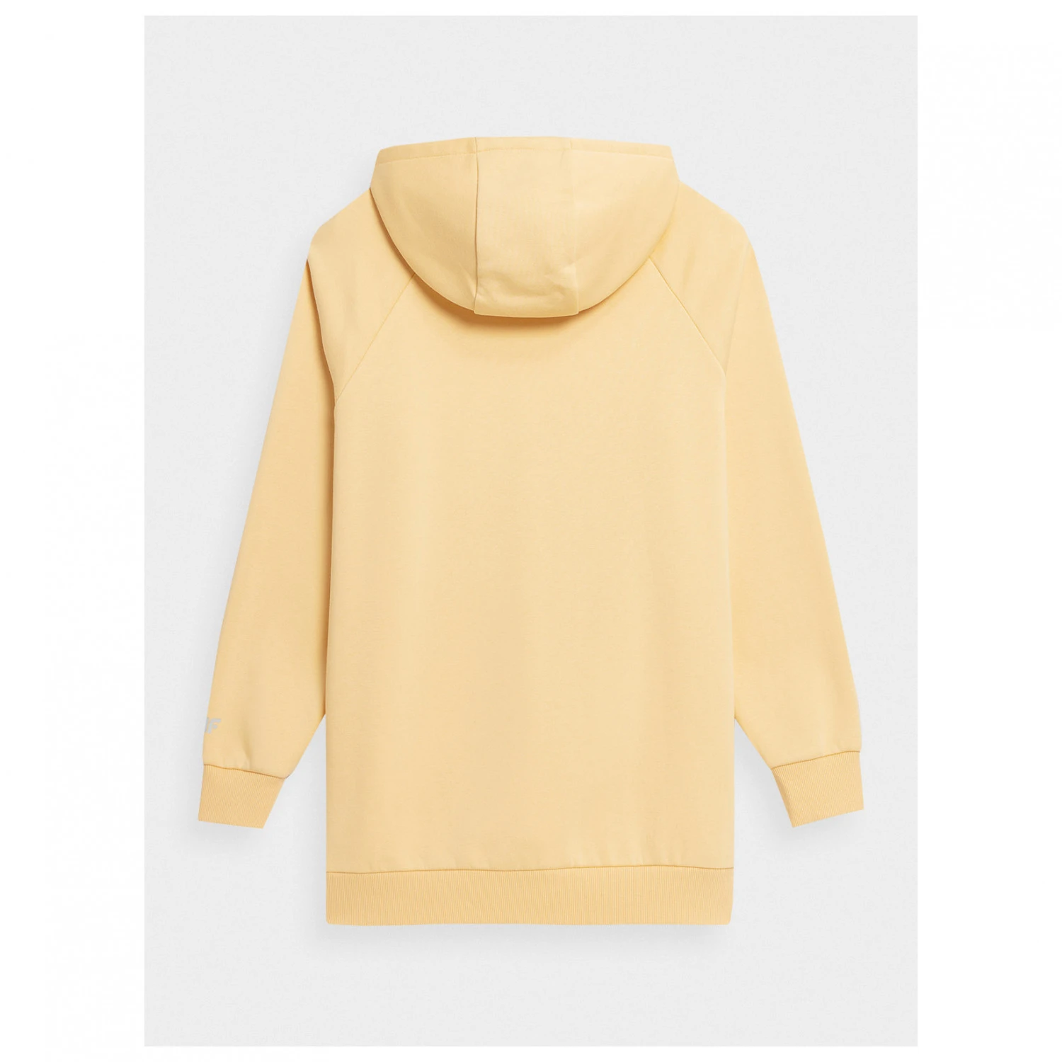 4F Women's Sweatshirt F247 - Hoodie 2 4F Women's Sweatshirt F247 - Hoodie - Image 2