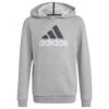 ADIDAS Kid's BL 2 Hoodie - Hoodie
