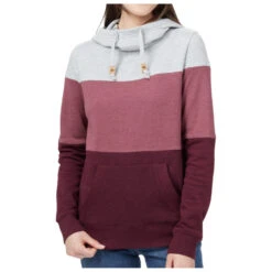 Tentree Women's Treefleece Blocked Banshee Hoodie